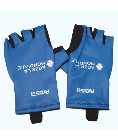 Blue Giro Gloves